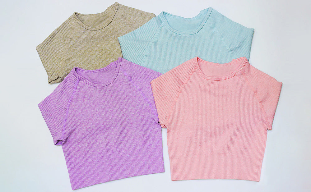 2 Piece Set Women Ribbed Seamless Long Sleeve Yoga Sets Workout Women's High Waist Sports Legging Long Sleeve Top The Clothing Company Sydney