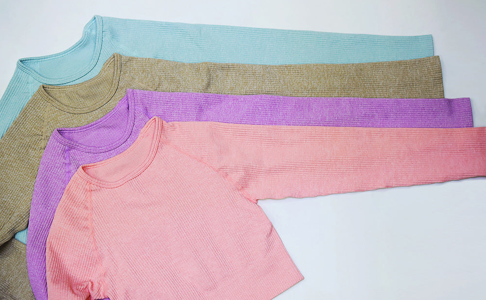 2 Piece Set Women Ribbed Seamless Long Sleeve Yoga Sets Workout Women's High Waist Sports Legging Long Sleeve Top The Clothing Company Sydney