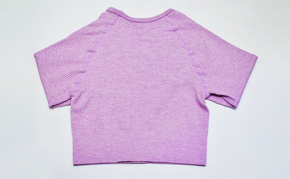 2 Piece Set Women Ribbed Seamless Long Sleeve Yoga Sets Workout Women's High Waist Sports Legging Long Sleeve Top The Clothing Company Sydney