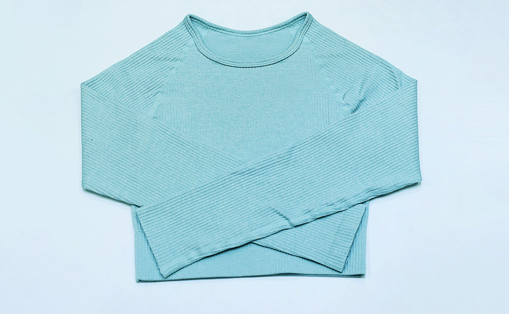 2 Piece Set Women Ribbed Seamless Long Sleeve Yoga Sets Workout Women's High Waist Sports Legging Long Sleeve Top The Clothing Company Sydney