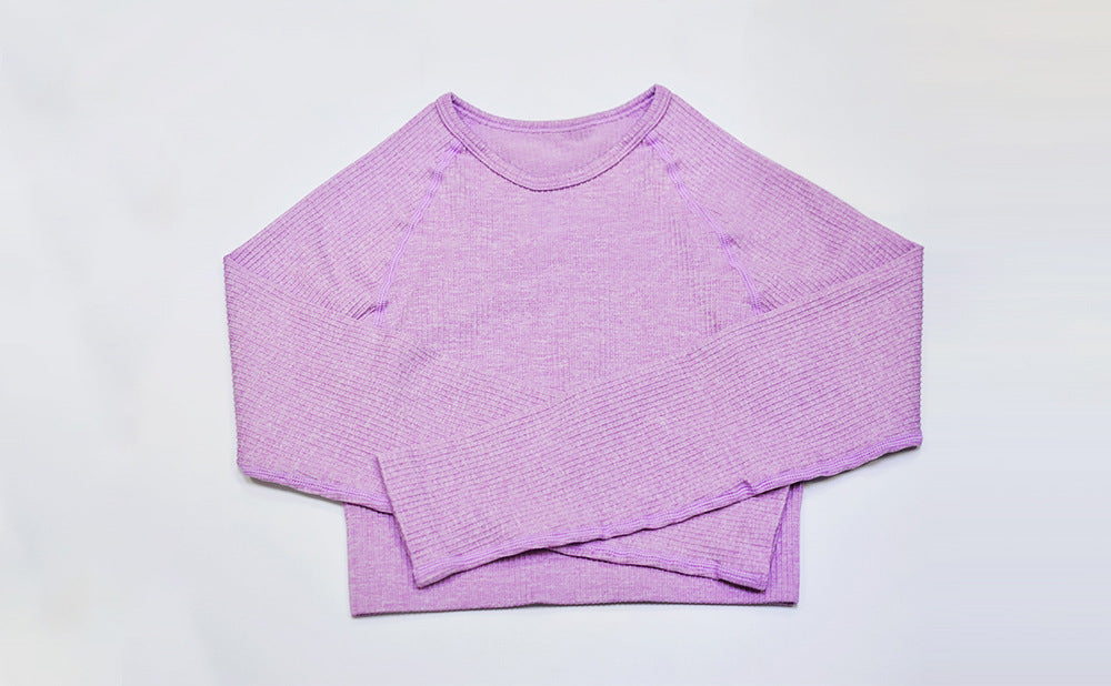 2 Piece Set Women Ribbed Seamless Long Sleeve Yoga Sets Workout Women's High Waist Sports Legging Long Sleeve Top The Clothing Company Sydney