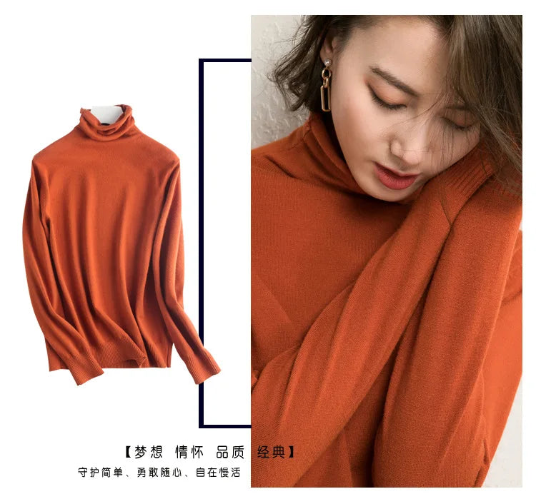 Autumn Winter Sweater Turtleneck Slim Fit Basic Pullovers Fashion Knit Tops Bottoming Women's Sweater Stretch Jumpers The Clothing Company Sydney