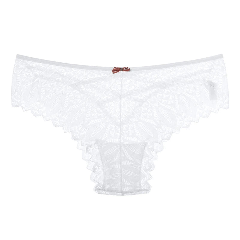 Women's Panties Lace Underwear Sexy Low-Waist Briefs Hollow Out G String Underpants Lingerie The Clothing Company Sydney