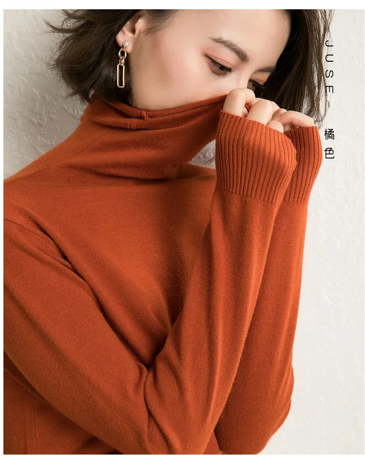 Autumn Winter Sweater Turtleneck Slim Fit Basic Pullovers Fashion Knit Tops Bottoming Women's Sweater Stretch Jumpers The Clothing Company Sydney