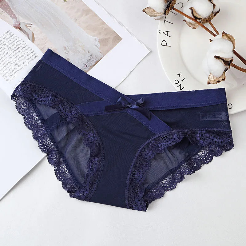 Mesh Underwear Lace Panties Briefs Mid-Rise Underwear Lingerie Briefs The Clothing Company Sydney