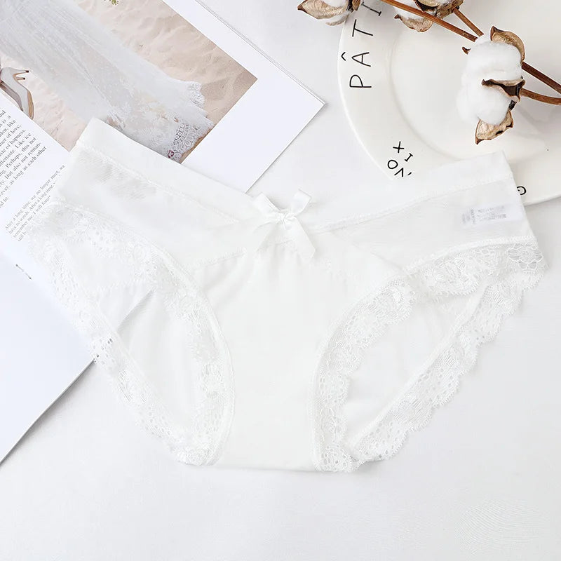 Mesh Underwear Lace Panties Briefs Mid-Rise Underwear Lingerie Briefs The Clothing Company Sydney