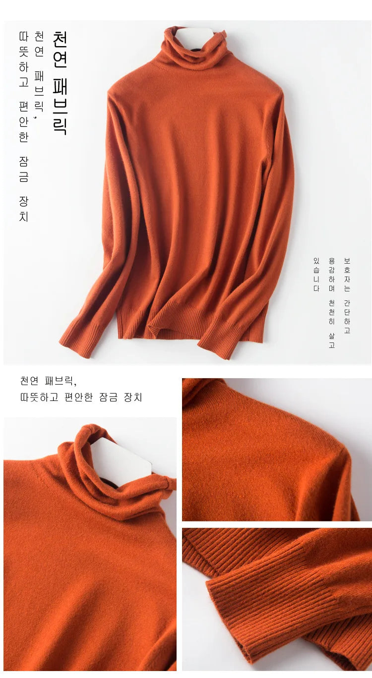 Autumn Winter Sweater Turtleneck Slim Fit Basic Pullovers Fashion Knit Tops Bottoming Women's Sweater Stretch Jumpers The Clothing Company Sydney