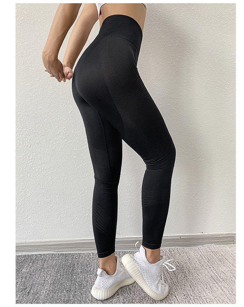 Yoga Seamless Leggings Gym Yoga Pants Women's High Waist Yoga Leggings Sports Fitness Clothing Sport Pants Sportswear The Clothing Company Sydney
