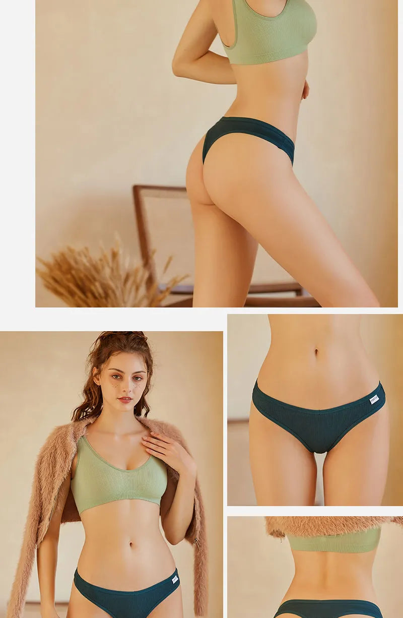3 Pack Cotton Thongs Lady Solid V-Waist Stripe Panties Breathable G-String Underwear Soft Intimates Lingerie The Clothing Company Sydney