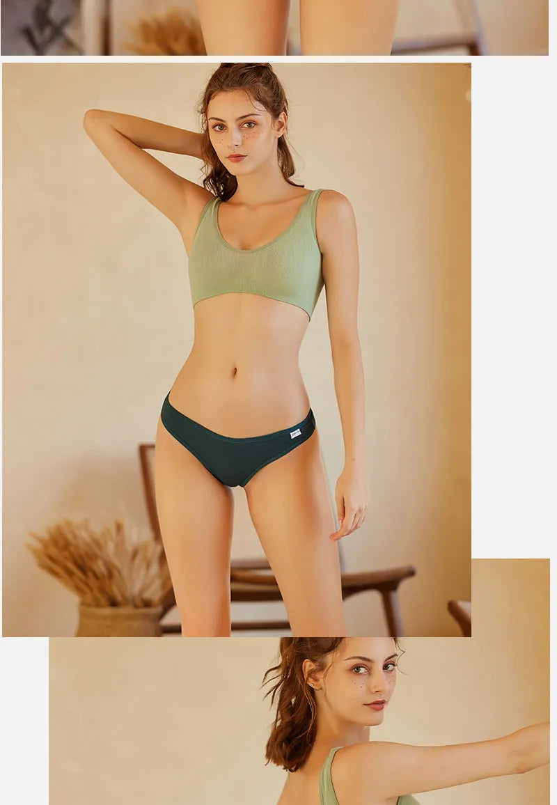 3 Pack Cotton Thongs Lady Solid V-Waist Stripe Panties Breathable G-String Underwear Soft Intimates Lingerie The Clothing Company Sydney