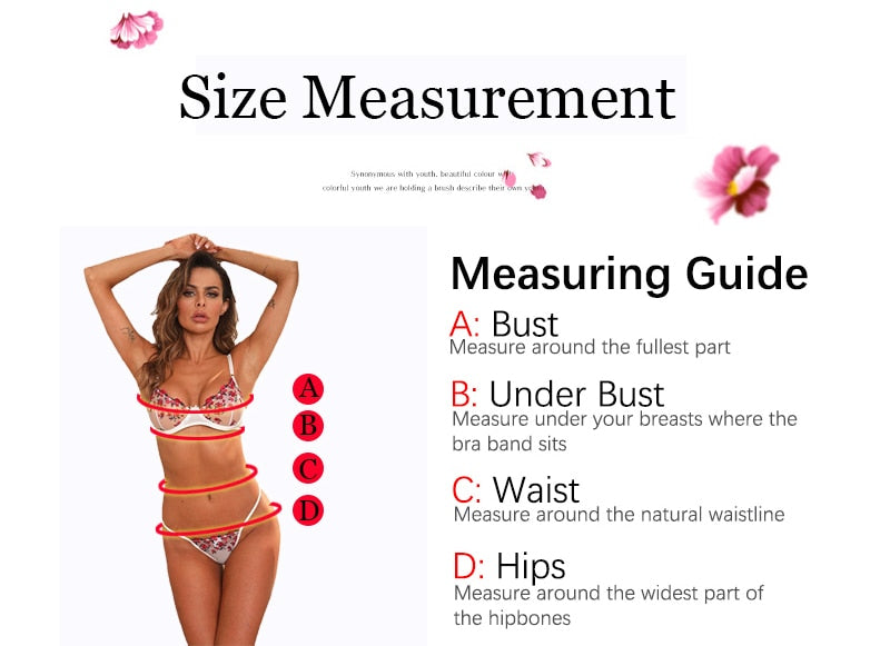 2 Piece Sheer Lingerie Set Embroidery Transparent Sensual Lace Lingerie Set The Clothing Company Sydney