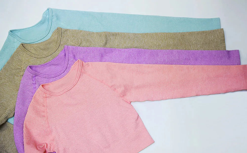 2 Piece Set Women Ribbed Seamless Long Sleeve Yoga Sets Workout Women's High Waist Sports Legging Long Sleeve Top The Clothing Company Sydney