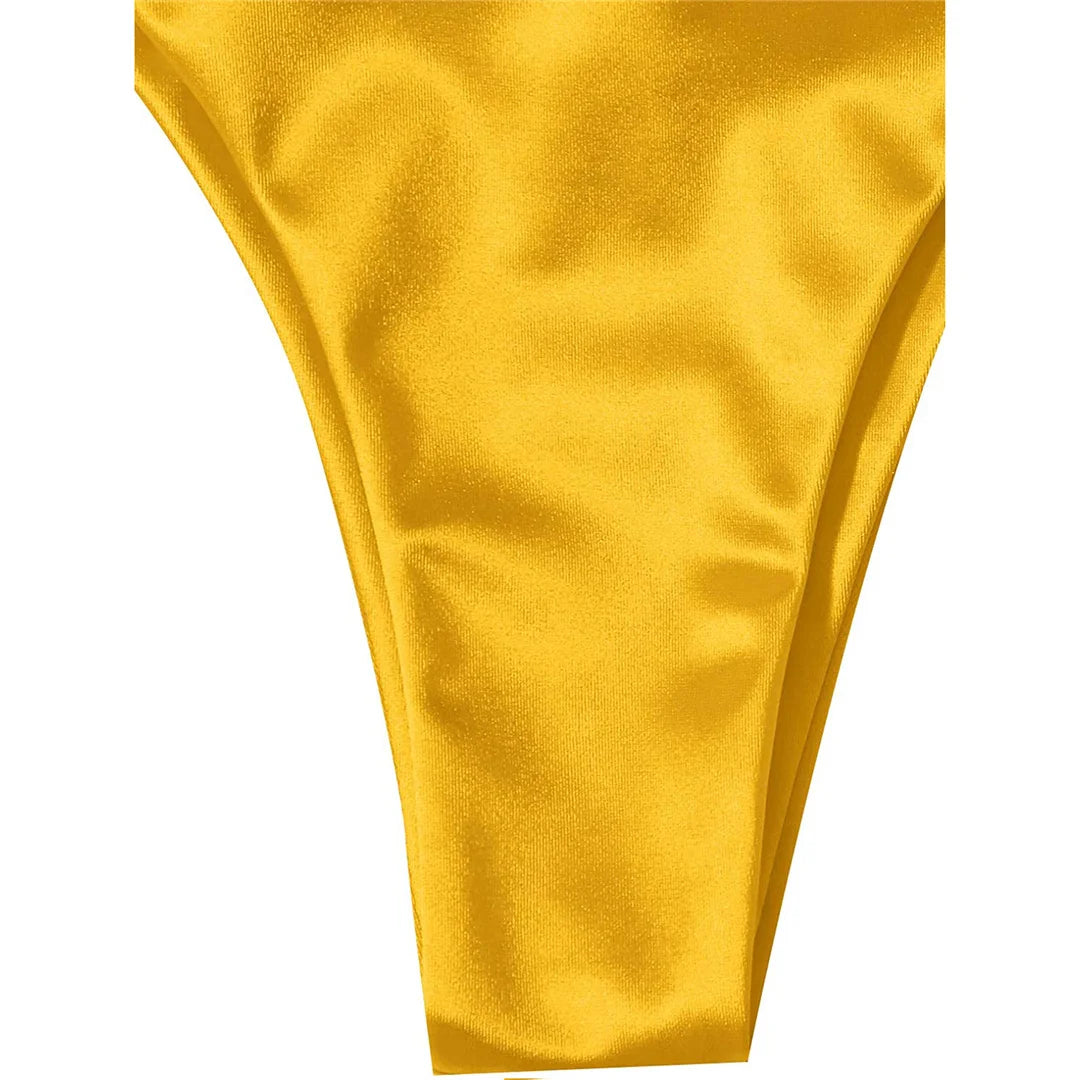 Halter Satin Brazilian Bikini Women Swimwear Female Swimsuit Two-piece Bikini set Bather Bathing Suit The Clothing Company Sydney