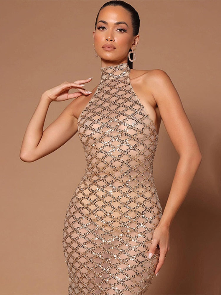 Backless Halter Dress Diamond Sleeveless Solid Long Robe Ladies Fashion Gauze Perspective Evening Party Dresses The Clothing Company Sydney