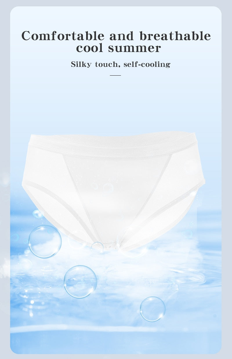 Mesh Women's Panties Hollow Out Briefs Transparent Low Waist Lingerie Breathable High Elasticity Underwear Underpants The Clothing Company Sydney
