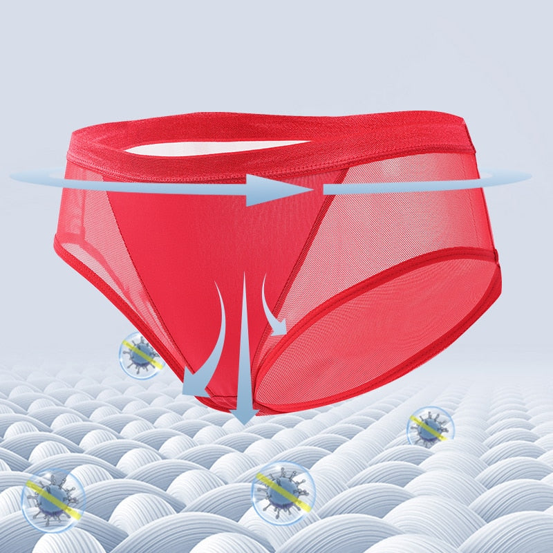 Mesh Women's Panties Hollow Out Briefs Transparent Low Waist Lingerie Breathable High Elasticity Underwear Underpants The Clothing Company Sydney
