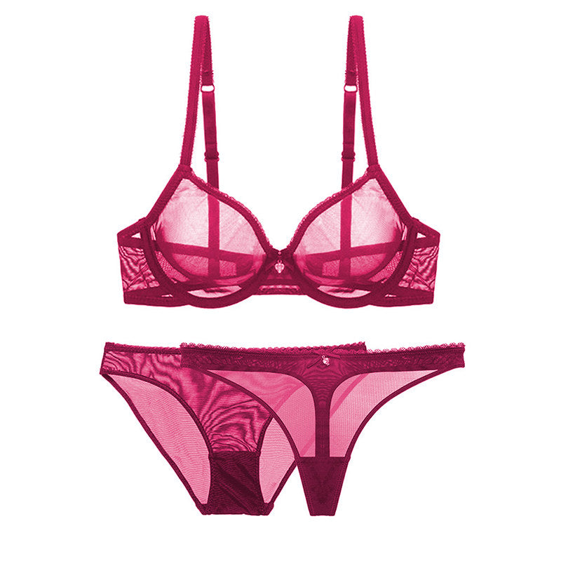 Ultra-thin cup mesh lace underwear transparent unlined 1 bra+2 panties plus size bra set for ladies The Clothing Company Sydney