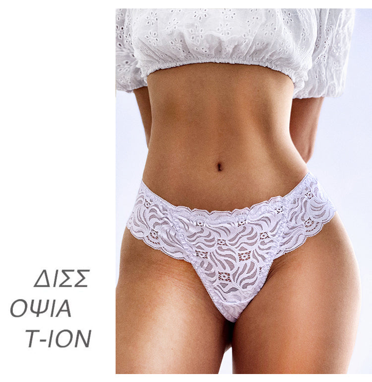 Lace Low-waist Briefs Breathable Embroidery Underwear Transparent Panties G String Underpant Lingerie The Clothing Company Sydney