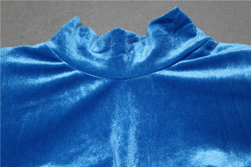 Bodycon Velvet Mini Dress Women Autumn Long Sleeve High Neck Party Dresses Female Velvet Sheath Dress The Clothing Company Sydney