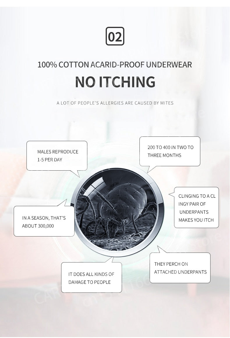 Men's Underwear Graphene 3A Antibacterial Underpants Pure Cotton Mix Boxer Shorts Moisture Absorbent Elastic Trunks Panties The Clothing Company Sydney