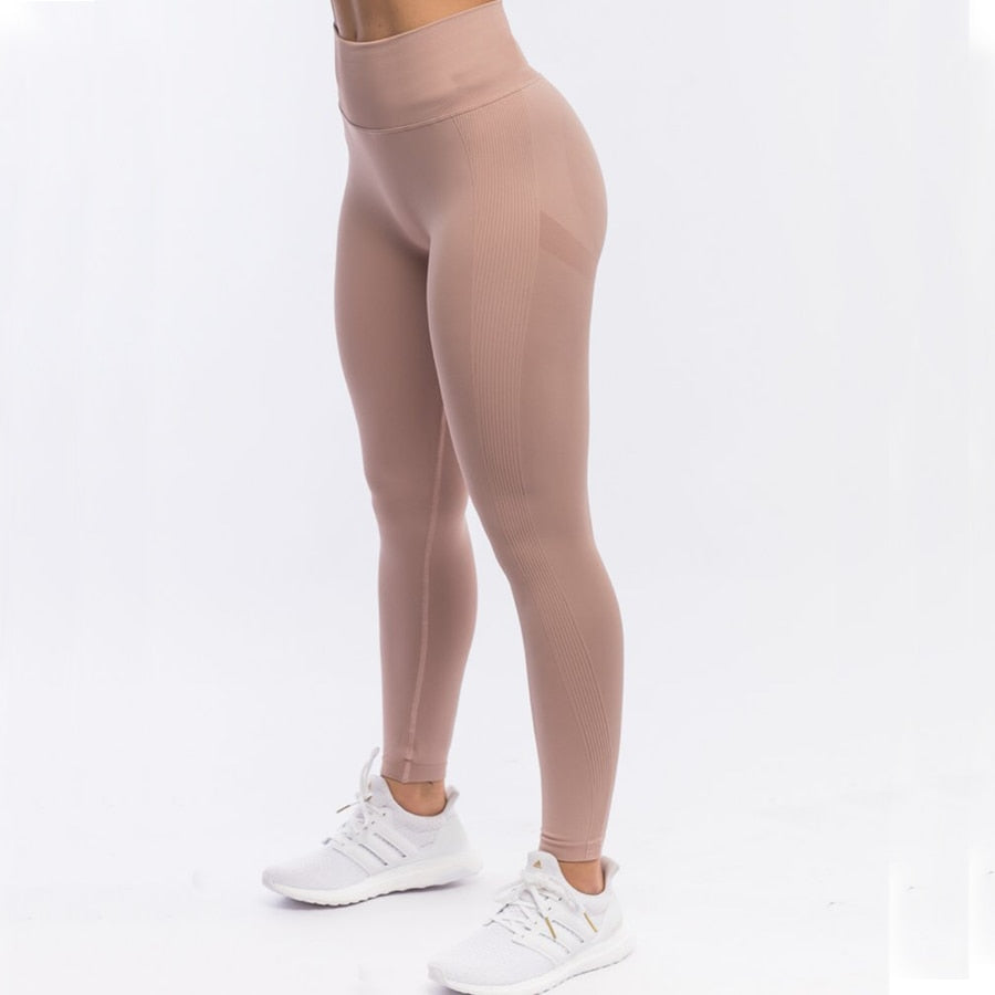 Seamless Women Fitness Arise Epic Yoga Sets High Waist Gym Scrunch Leggings Sports Bra Workout Active Wear Suits The Clothing Company Sydney