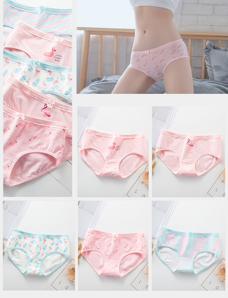 7Pcs/5Pcs Women Panties Comfort Cotton Mix Breathable Underwear Seamless Ladies Low Waist Lingeries Cute Girls Briefs The Clothing Company Sydney