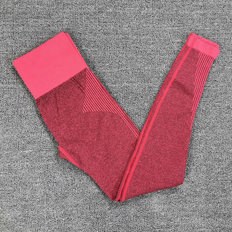 Seamless Yoga Set Women Dry Fit Two 2 Piece Tight Crop top Bra Legging Sportsuit Workout Outfit Fitness Wear Gym Set The Clothing Company Sydney