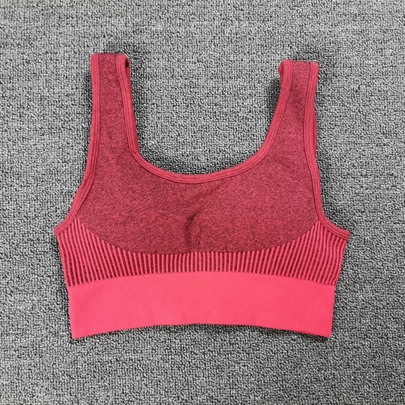 Seamless Yoga Set Women Dry Fit Two 2 Piece Tight Crop top Bra Legging Sportsuit Workout Outfit Fitness Wear Gym Set The Clothing Company Sydney