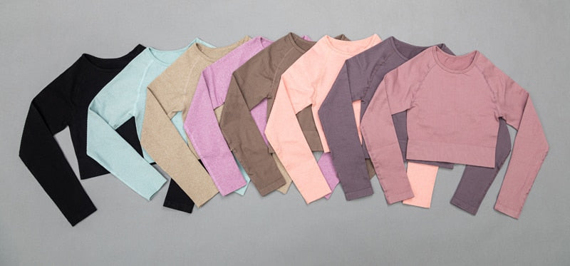 2 Piece High Waist Sports Legging Gym Women's sportswear Seamless Fitness Yoga Suit High Stretchy Workout Padded Sports Bra Leggings Set The Clothing Company Sydney