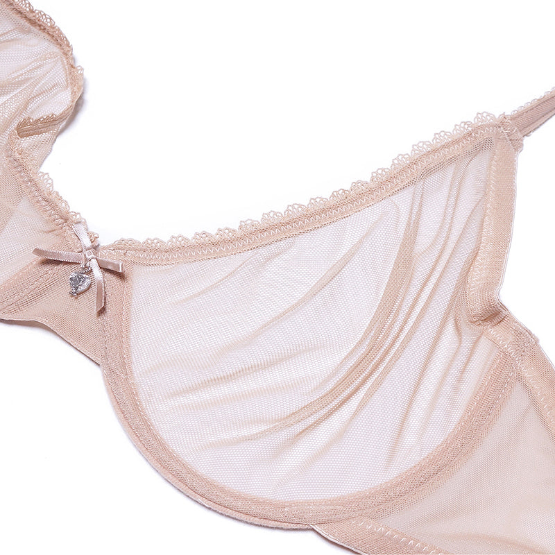 Ultra-thin cup mesh lace underwear transparent unlined 1 bra+2 panties plus size bra set for ladies The Clothing Company Sydney
