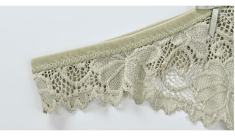 Lace Embroidery Underwear Lingerie T-back Thong Sheer Panties Hollow out Transparent Knickers The Clothing Company Sydney