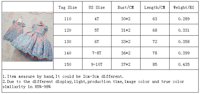 Embroidery Flower Wedding Evening Children Clothing Princess Party Kids Dresses for Girls Birthday Party Lace Flower Ball Gown The Clothing Company Sydney