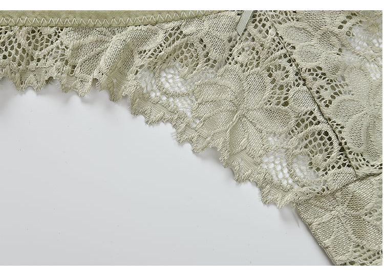 Lace Embroidery Underwear Lingerie T-back Thong Sheer Panties Hollow out Transparent Knickers The Clothing Company Sydney
