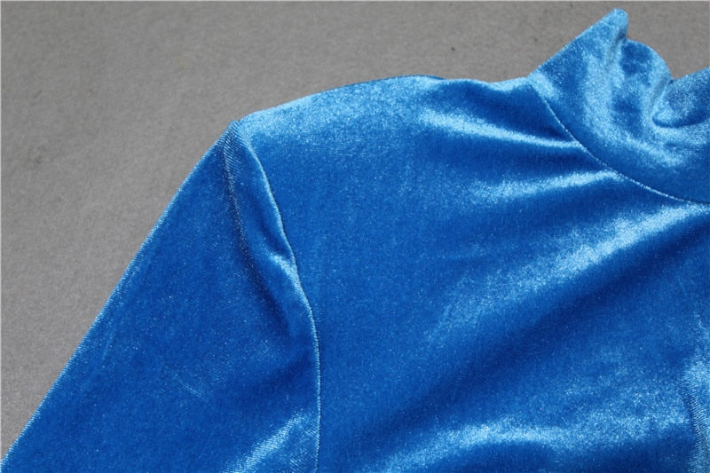 Bodycon Velvet Mini Dress Women Autumn Long Sleeve High Neck Party Dresses Female Velvet Sheath Dress The Clothing Company Sydney