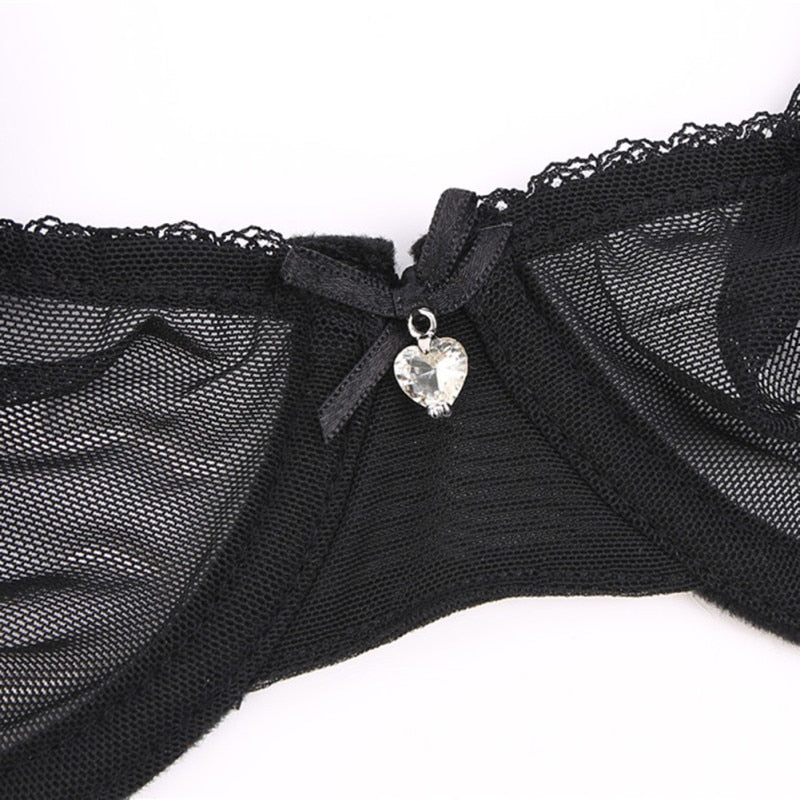 Ultra-thin cup mesh lace underwear transparent unlined 1 bra+2 panties plus size bra set for ladies The Clothing Company Sydney