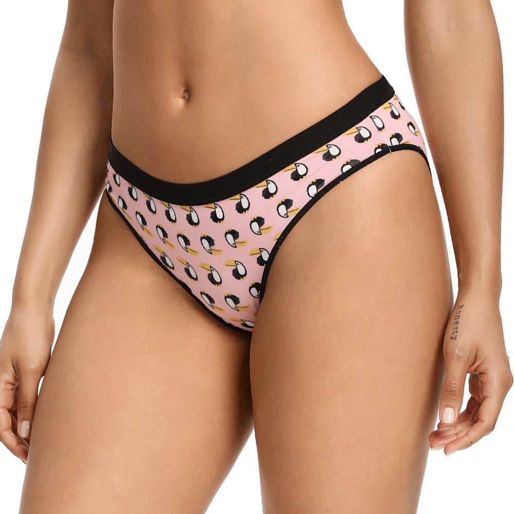 Black Lingerie Women´s Cotton Panties Underwear Briefs Soft Underpants Plus Size High Waist The Clothing Company Sydney
