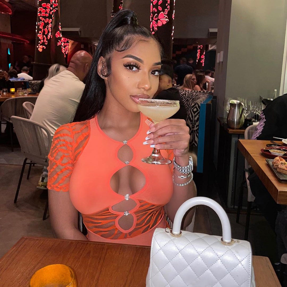 Zebra Print Cut Out Mesh Transparent Mini Beach Holiday Night Club Goth Party Bodycon Pencil Shorts Dresses The Clothing Company Sydney