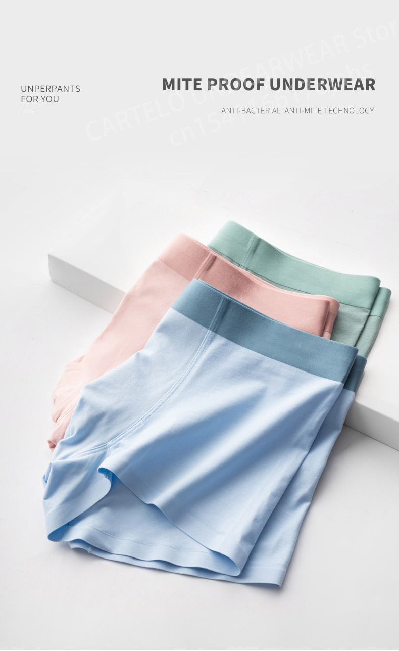 Men's Underwear Graphene 3A Antibacterial Underpants Pure Cotton Mix Boxer Shorts Moisture Absorbent Elastic Trunks Panties The Clothing Company Sydney
