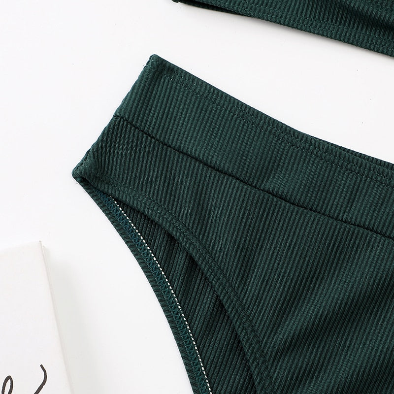 2 Piece Ribbed Bikini Women Swimsuit High Waist Swimwear V-neck Biquini Push Up Bathing Suit Women Black Bikini Set The Clothing Company Sydney