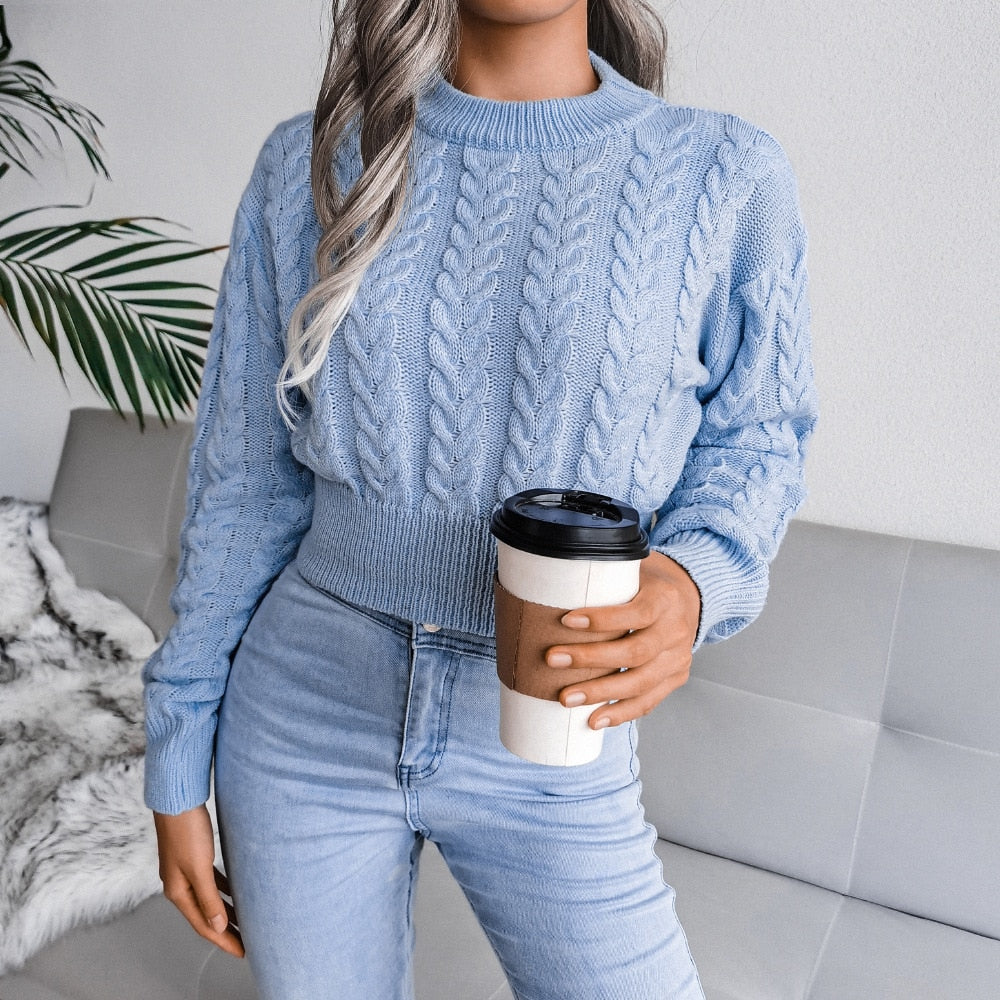 Women's Autumn Winter Long Sleeve Twist Neck Knit Crop Sweater Fashion Slim All Match Pullover Jumper Top The Clothing Company Sydney
