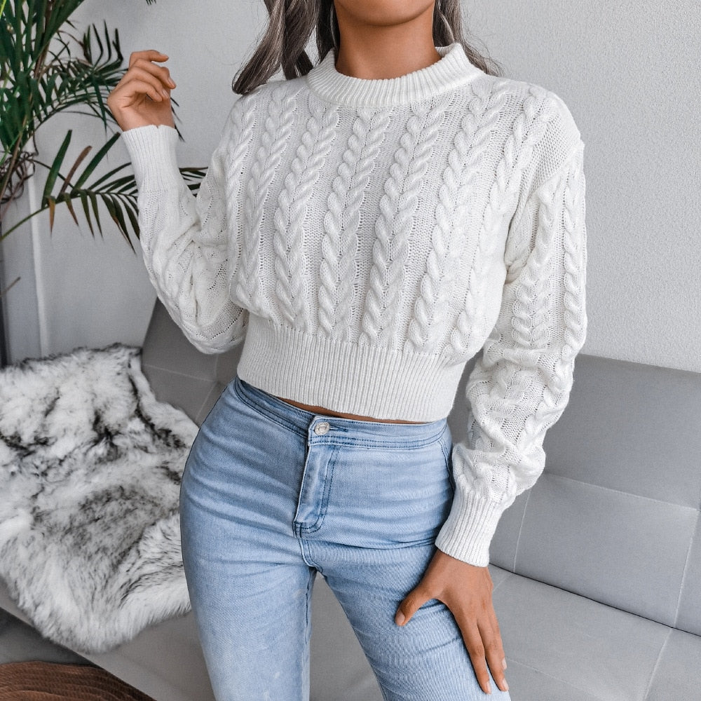 Women's Autumn Winter Long Sleeve Twist Neck Knit Crop Sweater Fashion Slim All Match Pullover Jumper Top The Clothing Company Sydney