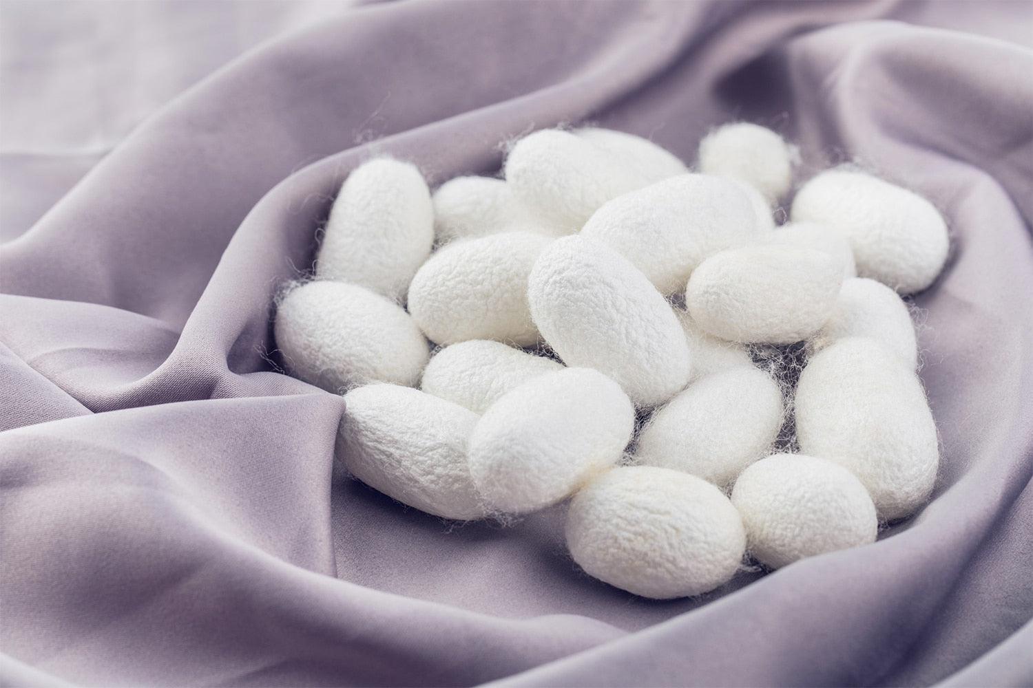 4Piece Mens Vest for Suit Luxury Paisley Floral Plaid Suit Silk Vest and Tie Set Blue Gold Red Sliver Wedding Vest The Clothing Company Sydney