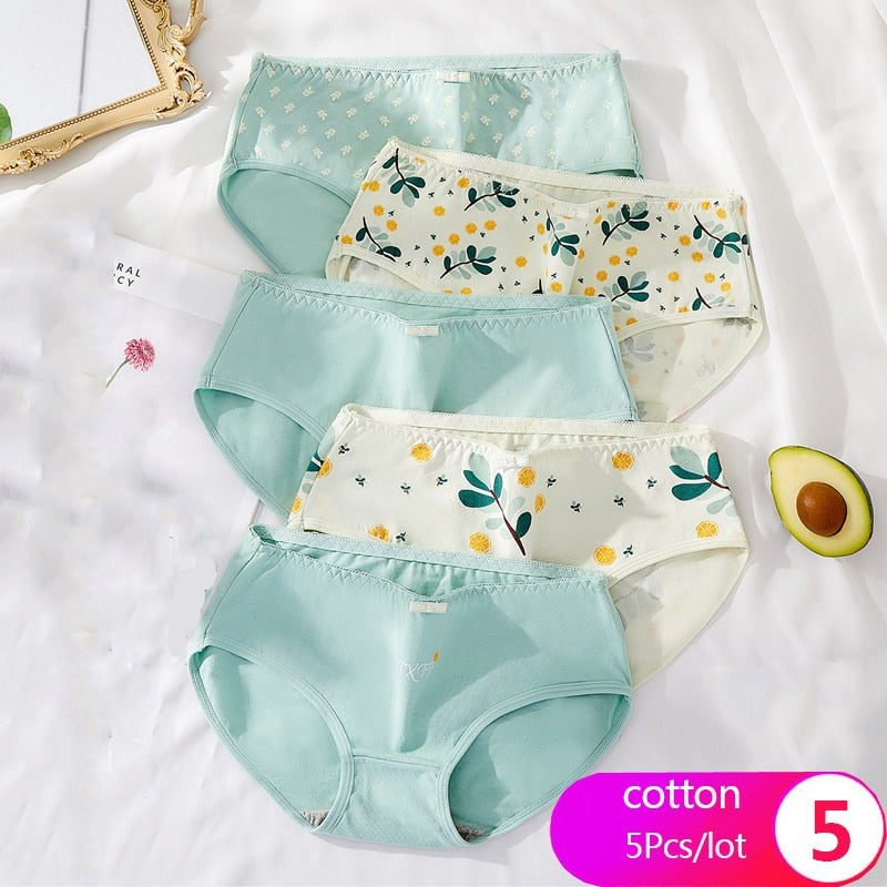 7Pcs/5Pcs Women Panties Comfort Cotton Mix Breathable Underwear Seamless Ladies Low Waist Lingeries Cute Girls Briefs The Clothing Company Sydney