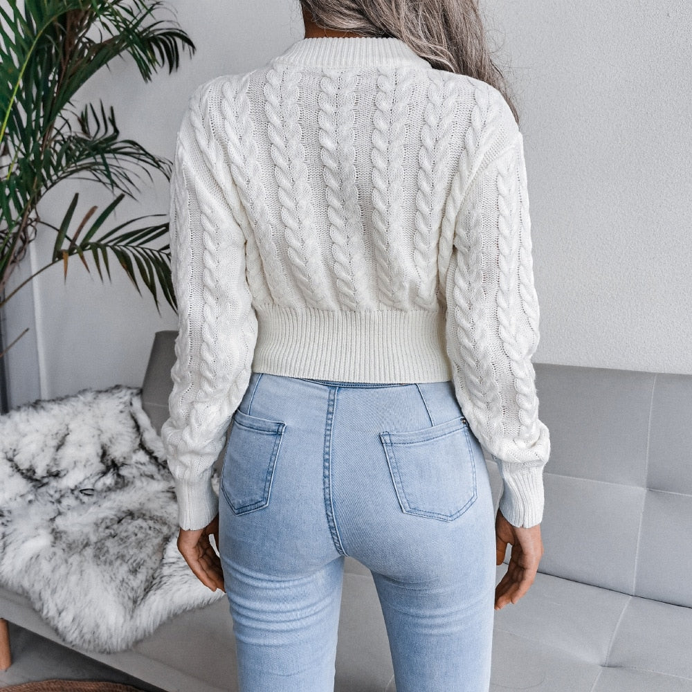 Women's Autumn Winter Long Sleeve Twist Neck Knit Crop Sweater Fashion Slim All Match Pullover Jumper Top The Clothing Company Sydney