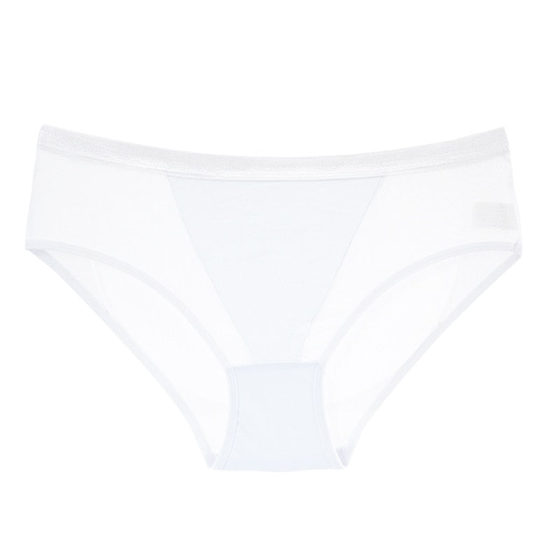 Mesh Women's Panties Hollow Out Briefs Transparent Low Waist Lingerie Breathable High Elasticity Underwear Underpants The Clothing Company Sydney