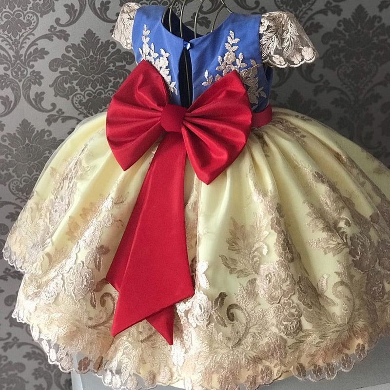 Embroidery Flower Wedding Evening Children Clothing Princess Party Kids Dresses for Girls Birthday Party Lace Flower Ball Gown The Clothing Company Sydney