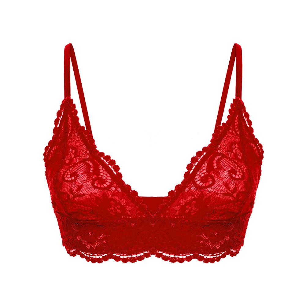 4 Piece Underwear Bra Lingerie Lace Summer Bra +Panty +Garter +Stockings Set The Clothing Company Sydney