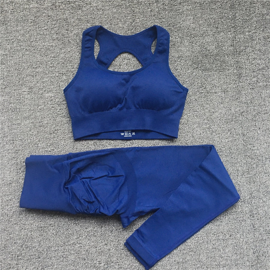 Seamless Women Fitness Arise Epic Yoga Sets High Waist Gym Scrunch Leggings Sports Bra Workout Active Wear Suits The Clothing Company Sydney