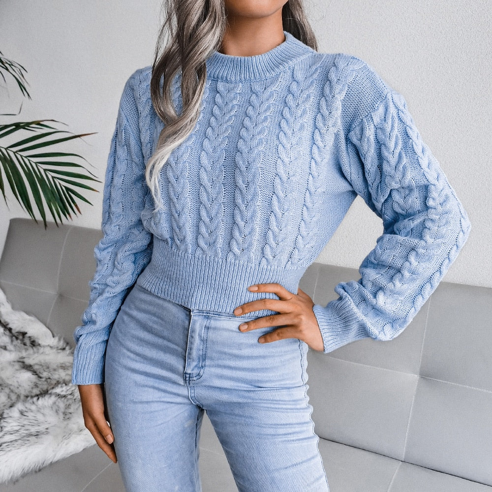 Women's Autumn Winter Long Sleeve Twist Neck Knit Crop Sweater Fashion Slim All Match Pullover Jumper Top The Clothing Company Sydney