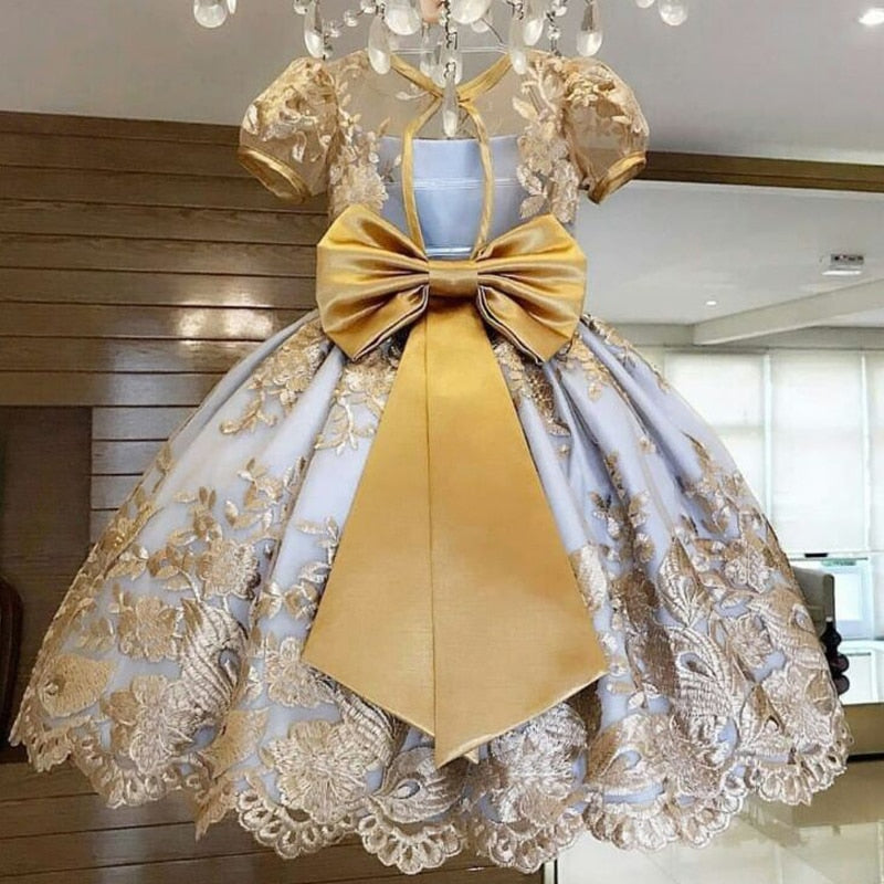 Embroidery Flower Wedding Evening Children Clothing Princess Party Kids Dresses for Girls Birthday Party Lace Flower Ball Gown The Clothing Company Sydney